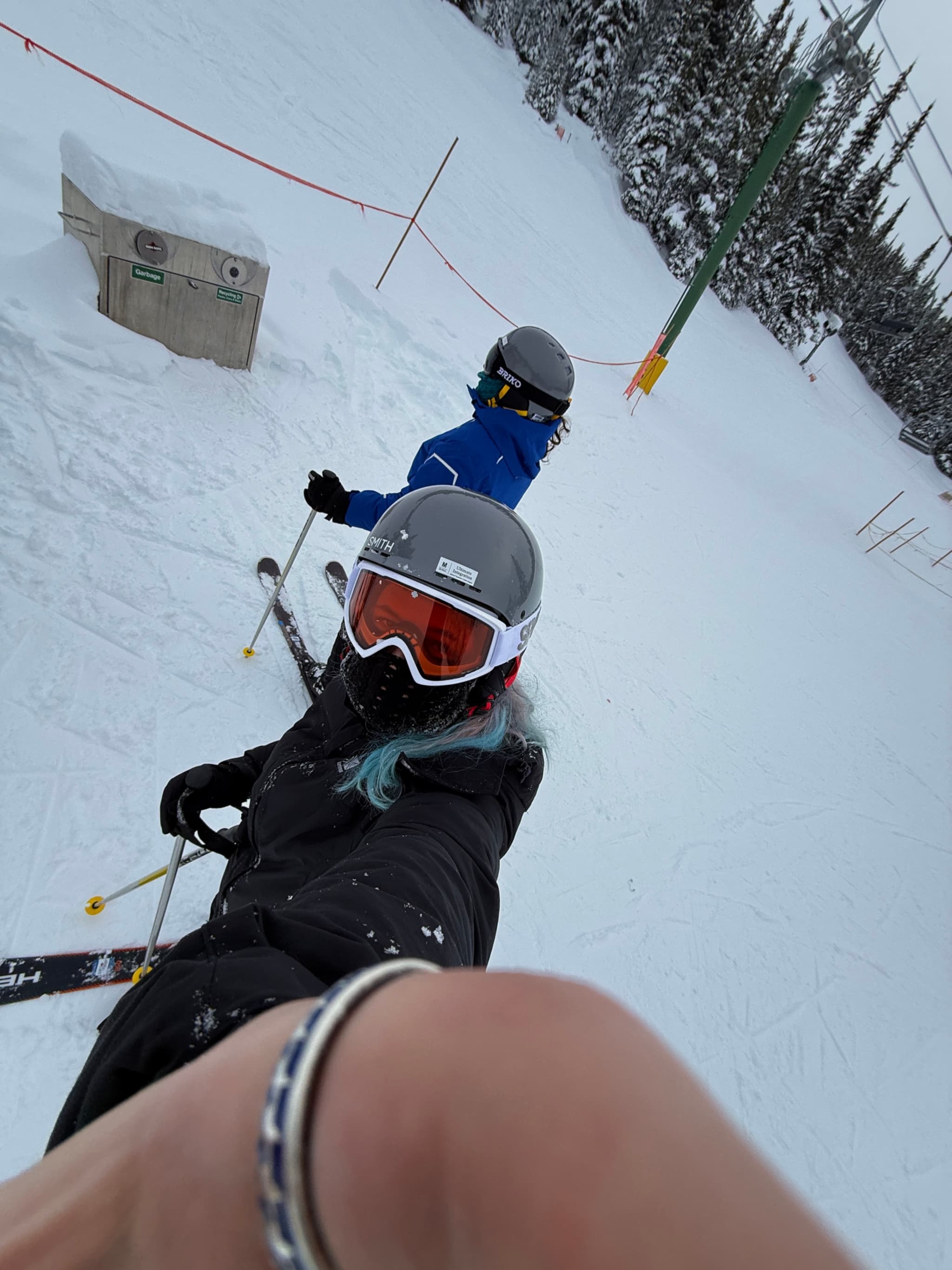 pizza slice or french fries?