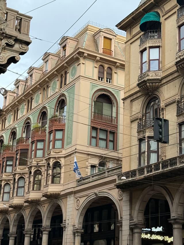 Power lines and windows